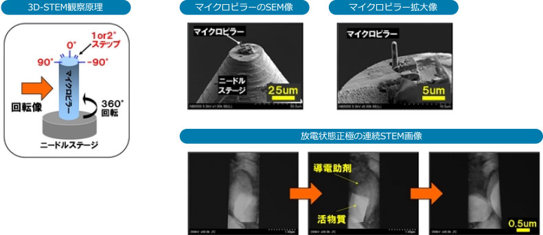 FIB、STEMを用いた正極の3次元構造解析