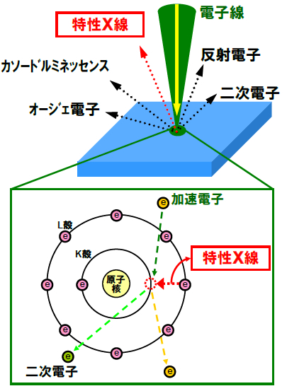 特性X線、カソードルミネッセンス、オージェ電子、反射電子、二次電子