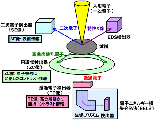 走査型透過電子顕微鏡 装置概要