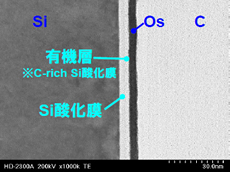 透過電子像(TE像) 有機層 Si酸化膜