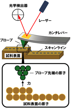 原子間力顕微鏡 装置概要