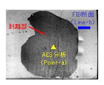 図2 めっき剥離部のFESEM像