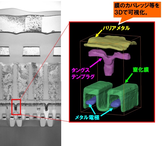 3D‐STEM観察原理