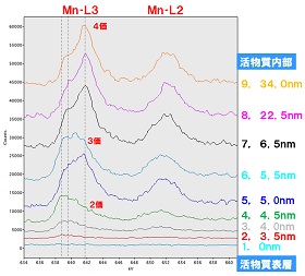 Mn-L2,3のEELSスペクトル