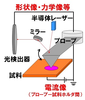 ＳＰＭ測定原理