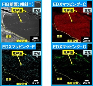 クライオＦＩＢ断面のクライオＳＥＭ-ＥＤＸ分析結果