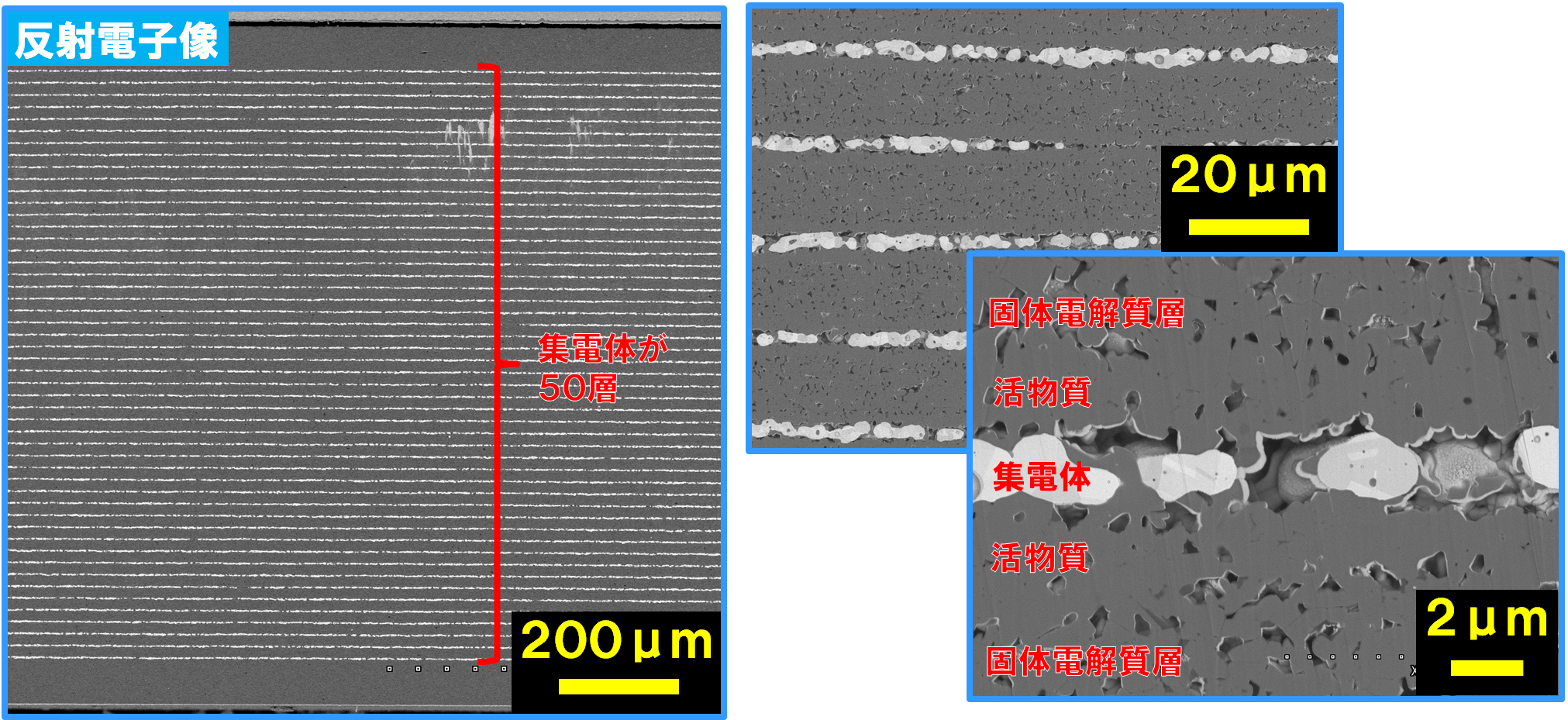 断面SEM観察結果 反射電子像