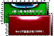 MOS断面SCM,SMM像