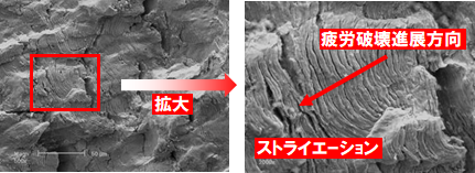 起点・進展方向・最終破断部・特徴的模様,原因推定