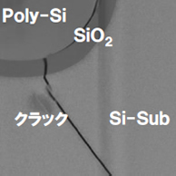 発光箇所のＳＴＥＭ像