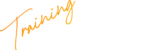 教育研修制度